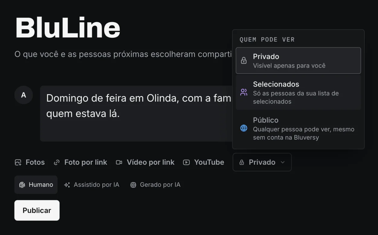 Tela da BluLine: uma publicação sendo escrita, com o menu Quem pode ver aberto nas opções Privado, Selecionados e Público.